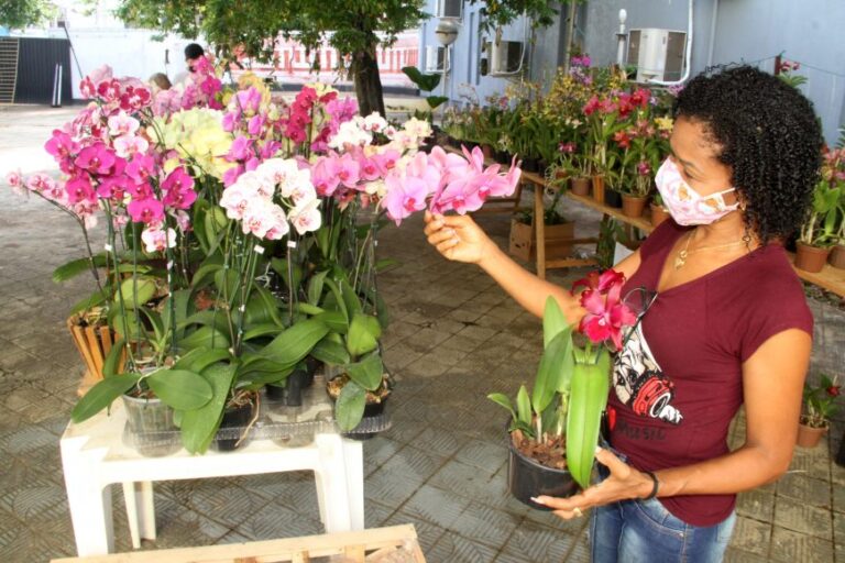 Exposição de orquídeas está aberta à visitação na Casa da Cultura Ivan Marrocos até sábado, 5