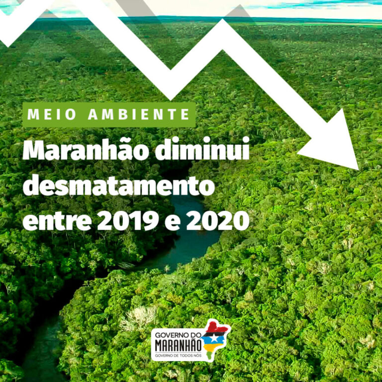 Maranhão registra queda na taxa de desmatamento entre 2019 e 2020. Ouça: