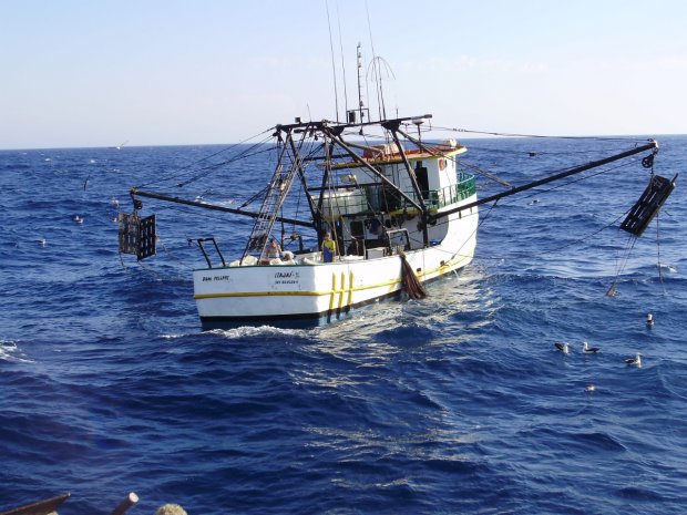 Governo catarinense concede parcelamento para indústria pesqueira