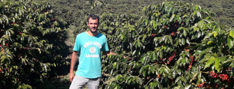 Concurso vai premiar cafés especiais fluminenses