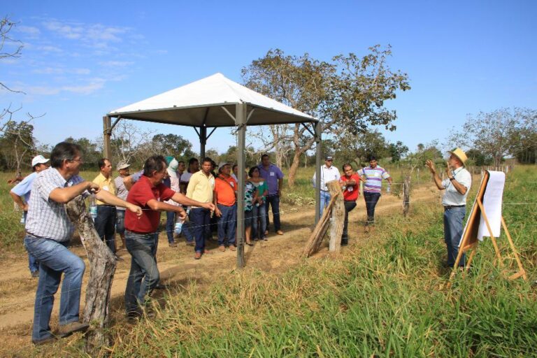 Empaer comemora Dia do Extensionista e 72 anos do serviço de extensão rural