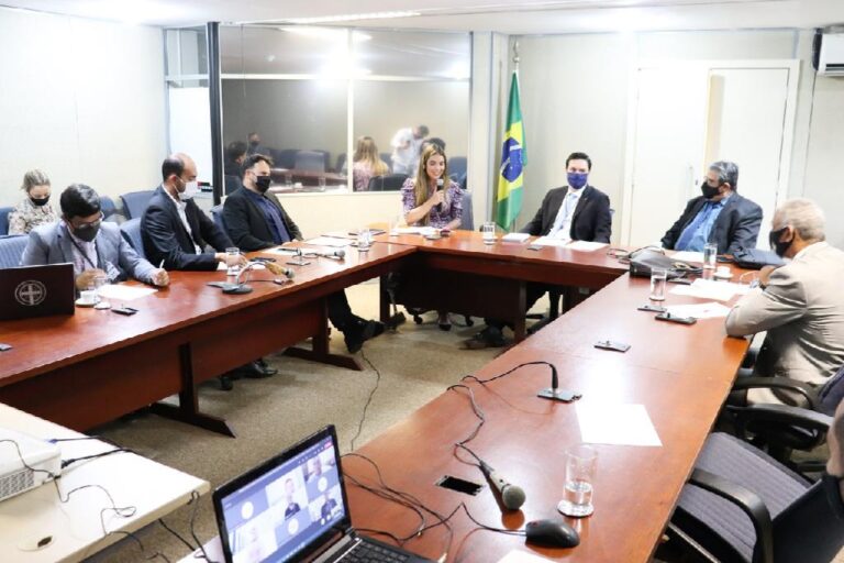 Papel dos Conselhos de Segurança é reforçado em reunião com executivo federal em Brasília