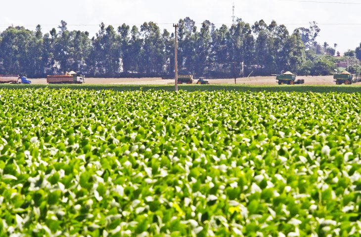 Com regularização, produtores familiares conseguem acesso a créditos e alavancam produção