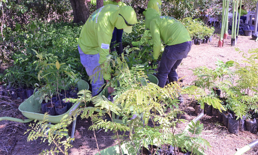 Tocantins destaca projetos ambientais bem sucedidos no Jalapão e Lajeado na 2ª edição da Revista Abema 2020