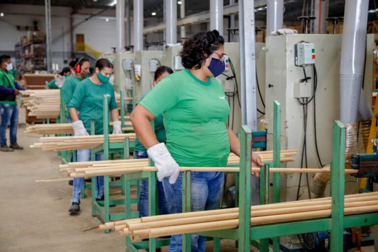 Sedi executa ações de fomento à inovação, capacitação, geração de emprego e fortalecimento de empresas em Rondônia