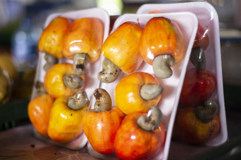 Semana começa com caju a R$ 2,00/kg na Ceasa em Maracanaú