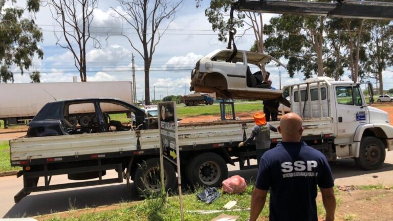 DF Livre de Carcaças no Recanto das Emas