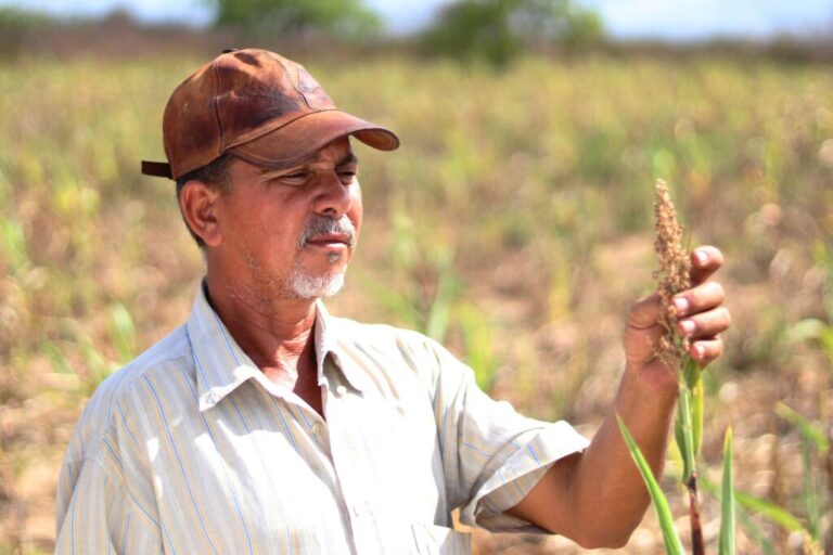 Hora de Plantar: 150 mil agricultores serão beneficiados com investimento de R$ 19,2 mi