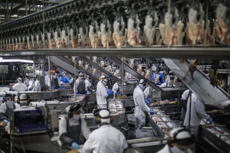 Paraná tem o maior crescimento   industrial do País em outubro