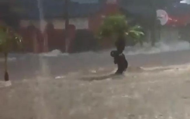Vídeo: Homem se segura em árvore para não ser levado pela enchente em Uberlândia