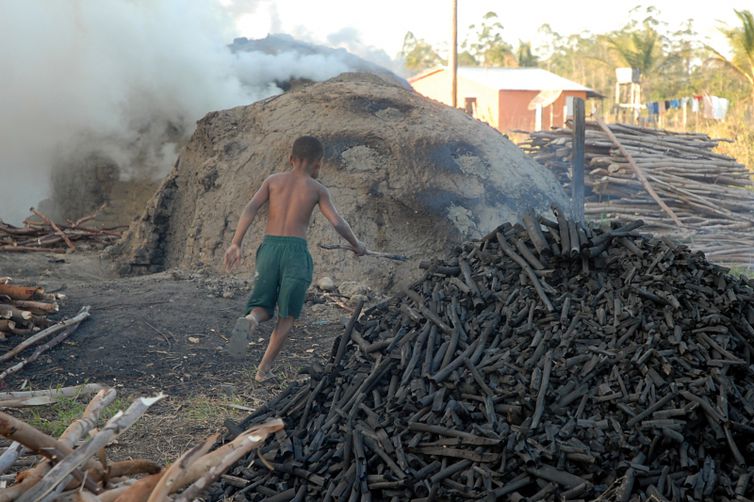 Carvoarias clandestinas são destruídas na Baixada Fluminense