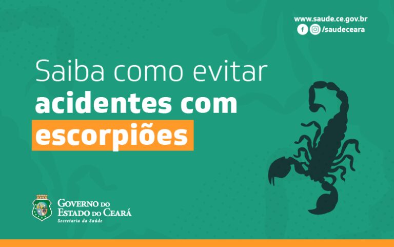 Secretaria da Saúde orienta sobre como evitar aparecimento de escorpiões e o que fazer em caso de picada