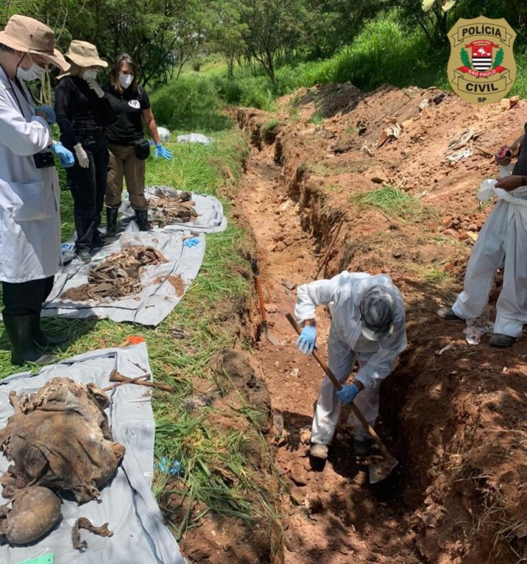 DHPP localiza mais 5 corpos em cemitério clandestino