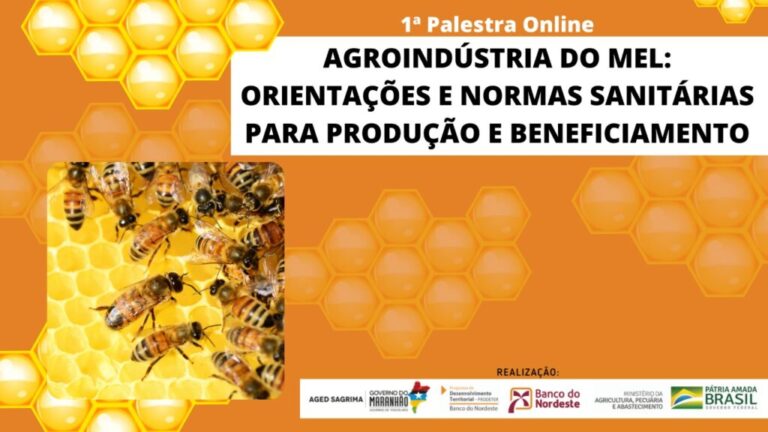 AGED e Banco do Nordeste realizam palestra online para impulsionar agroindústria do mel no Maranhão