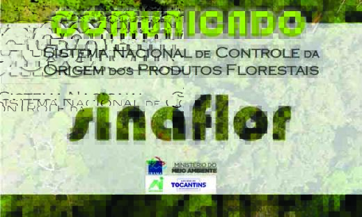 Tocantins passa a analisar processo de autorização de exploração florestal com projeto cadastrado no Sinaflor