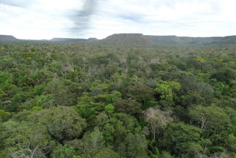 Retrospectiva – Gestão estadual reforça avanços nas ações de proteção e defesa do meio ambiente