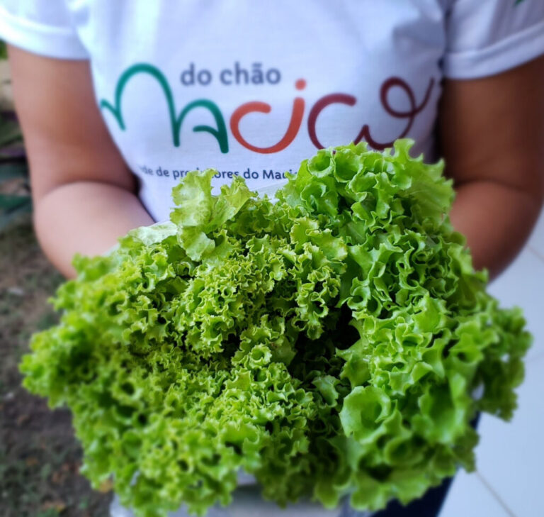 Grupo de agricultores familiares recebe pedidos de cestas agroecológicas até amanhã (12)