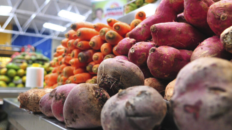 Segunda-feira (14) tem pagamento das bolsas para alimentação