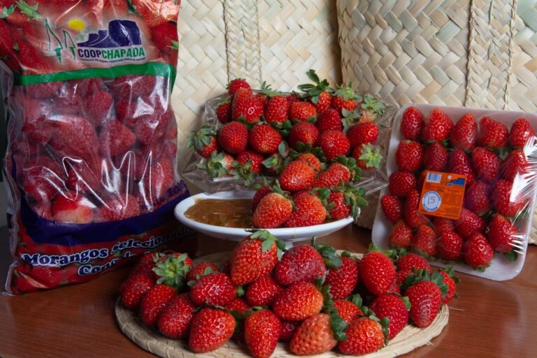 Frutas vermelhas congeladas e in natura estão à venda na Feira Baiana da Agricultura Familiar