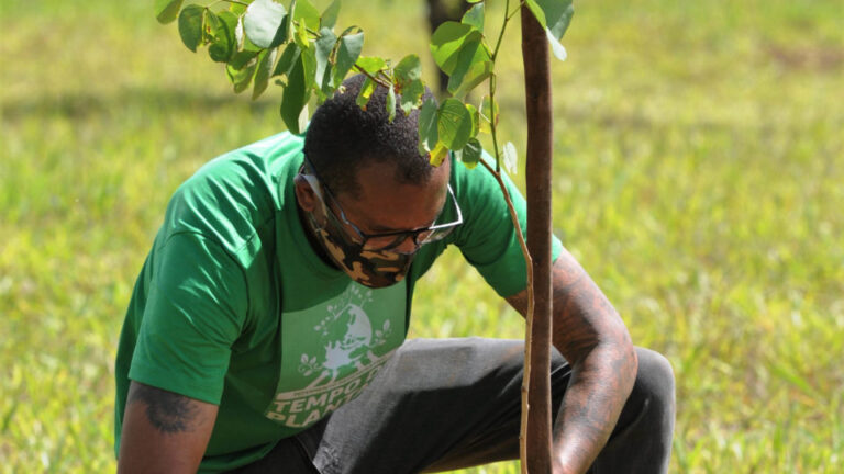 Voluntários se unem para arborizar parque do Guará