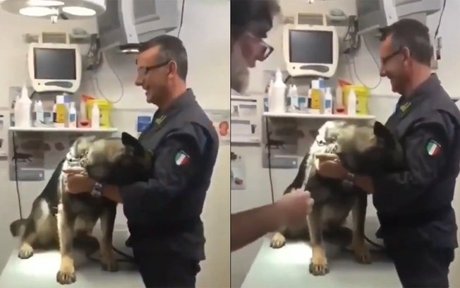 Viraliza no Twitter vídeo de cachorro se escondendo com medo de injeção