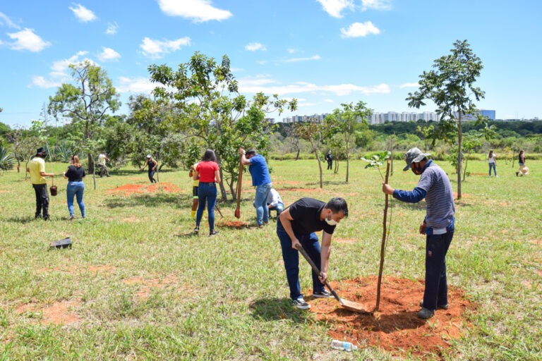Comitê de Voluntáriado da CLDF inicia plantio de 500 mudas no parque Ezequias Heringuer