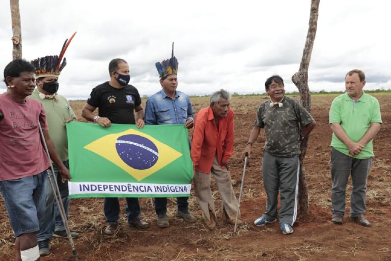 Índios Xavantes decidem plantar arroz e dão primeiro passo rumo à independência