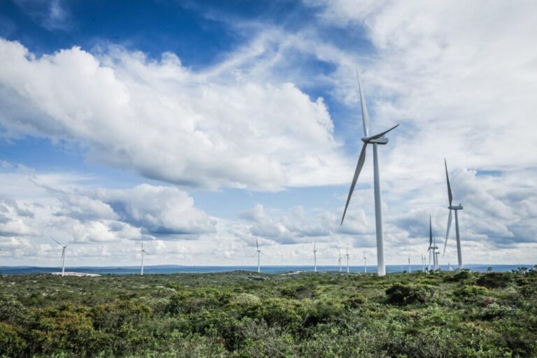 Enel Green Power inicia construção de 1,3 GW de nova capacidade renovável no Nordeste
