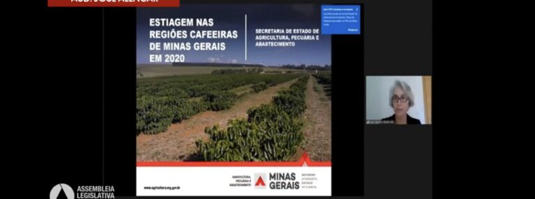 Seca nas regiões Sul e Sudoeste pode comprometer a produção mineira de café em 2021