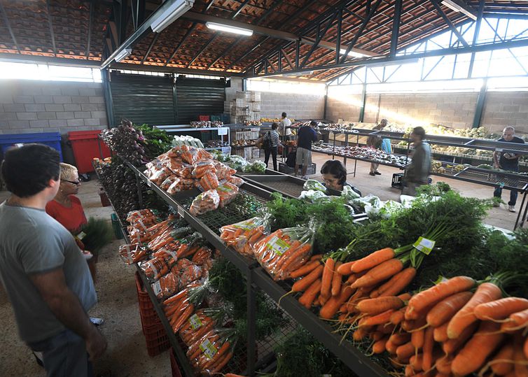 IGP-10 desacelera e tem alta de 1,97% em dezembro, diz FGV