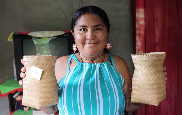 Vídeo: Artesanato está mudando a vida das artesãs do povoado Cambucá, em Cajari