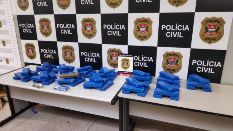 Polícia Civil apreende mais de 30kg de maconha em Ribeirão Preto
