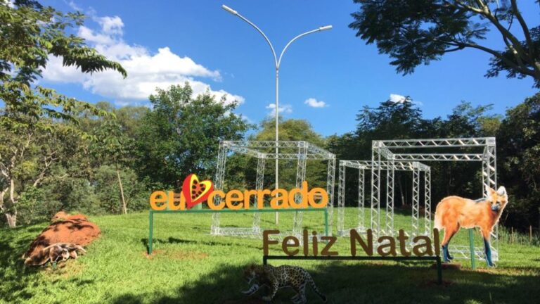 GDF lança projeto Natal nos Parques
