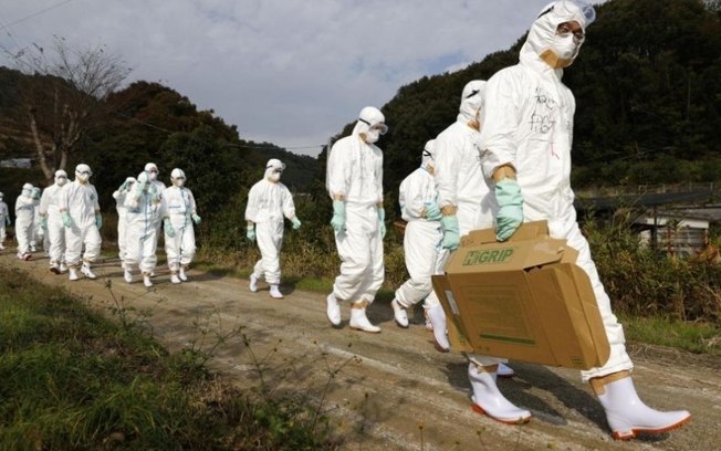 Japão tem maior surto de gripe aviária e governo teme contaminação em humanos