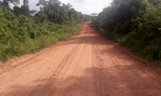Governo do Tocantins realiza reconstrução de ponte no norte do Estado