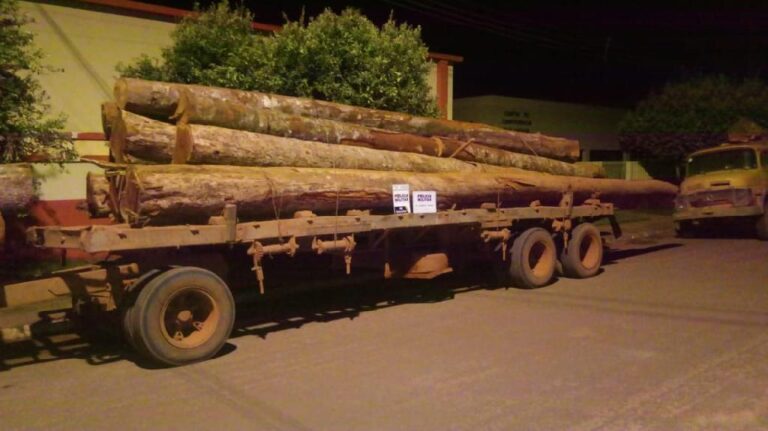 PM intercepta motoristas com 39 toras de madeiras sem documentação e habilitação