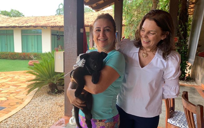 Senadora dá nome de cachorro de Alok em homenagem ao DJ