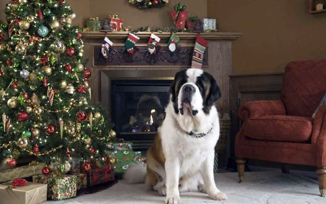 5 filmes natalinos com cãezinhos para você assistir com a família toda