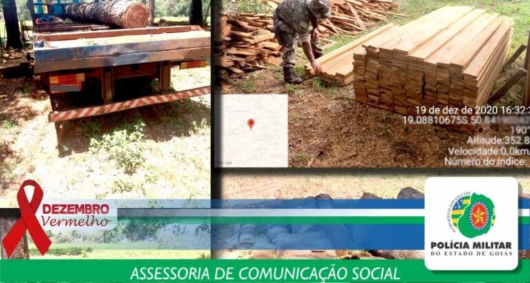 Apreensão de madeira: CPA combate a extração irregular