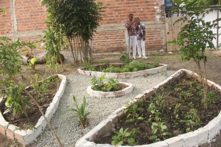Governo inaugura horto de plantas medicinais em terreiro de matriz africana em São Luís