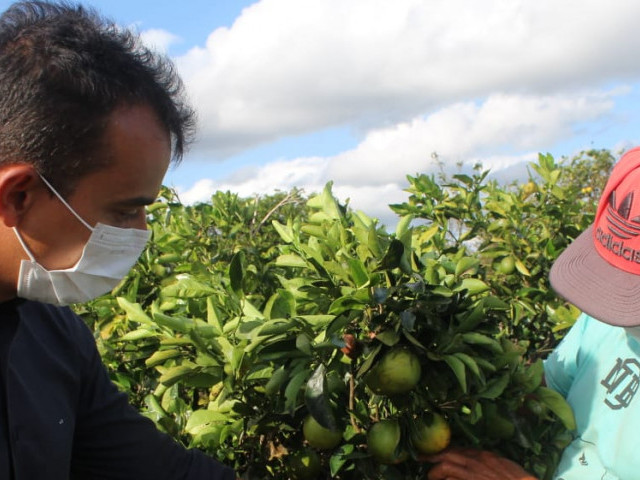 Sergipe apresenta boas práticas do agronegócio local à Bahia para fortalecimento da fronteira agrícola