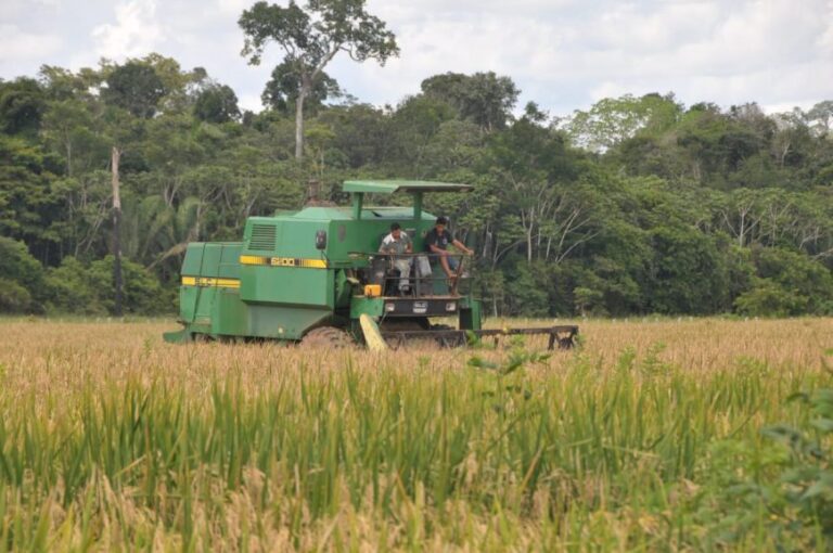 Emater Rondônia cumpre metas e fortalece serviços de assistência técnica e extensão rural