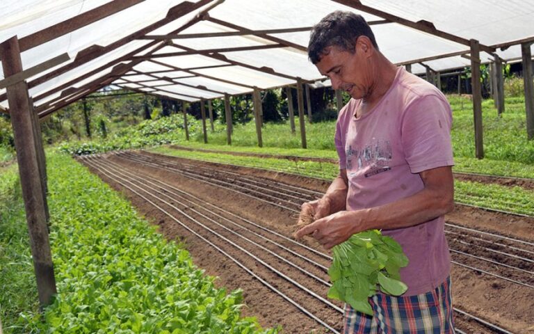 Programa de Assistência Técnica e Extensão Rural vai inserir agricultura de Rondônia em patamar tecnológico