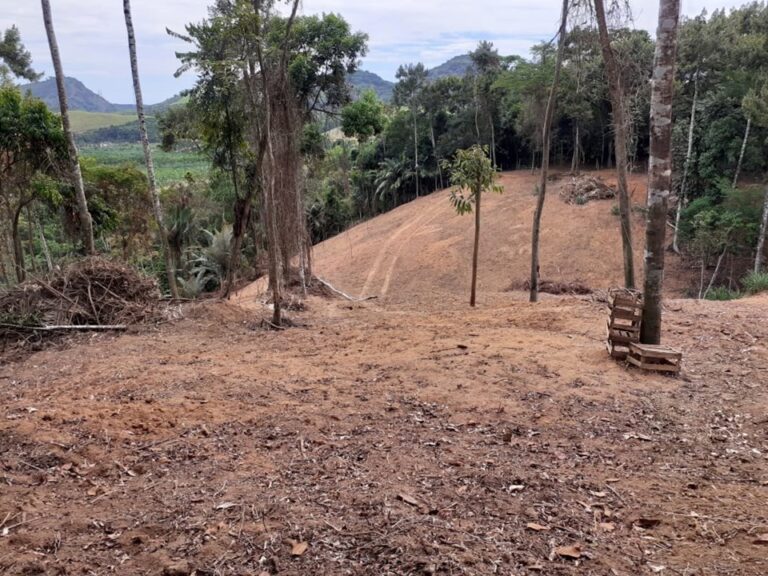 Idaf: áreas são embargadas em Rio Novo do Sul por desmatamento