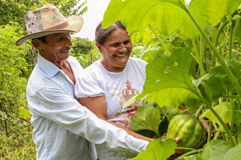 Desenvolvimento Agrário apresenta balanço de ações em 2020