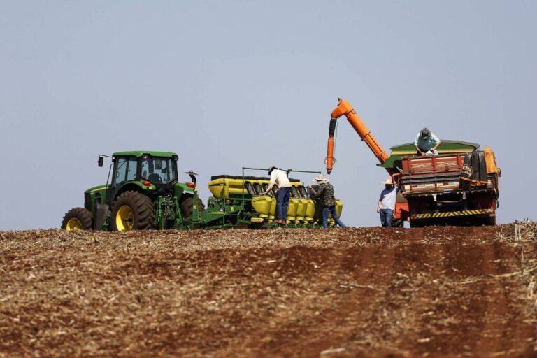 Agropecuária foi base de   sustentação da balança comercial