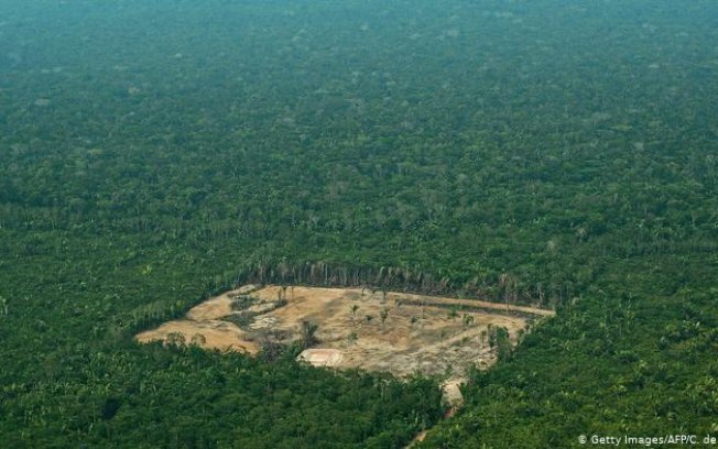 Governo Bolsonaro diz ao STF que “não há qualquer omissão” sobre desmatamento