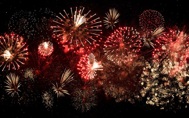 Fogos de artifício: Confira o que fazer para seu pet ter um Ano Novo tranquilo